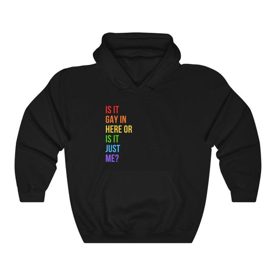 Is It Gay In Here Hoodie - Hoodie - Black