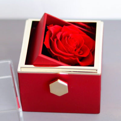 Secret Surprise - Rose Box - Packaging - Dark Red